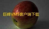 巨峰VMS客户端下载 1.20.0.15 官方版